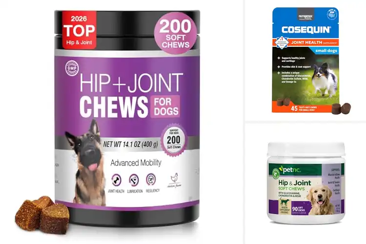 Detailed view of Best Joint Support For Small And Medium Dogs