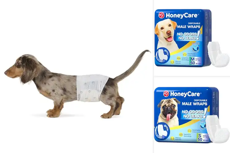 Detailed view of Best Leak-Proof Dog Wraps