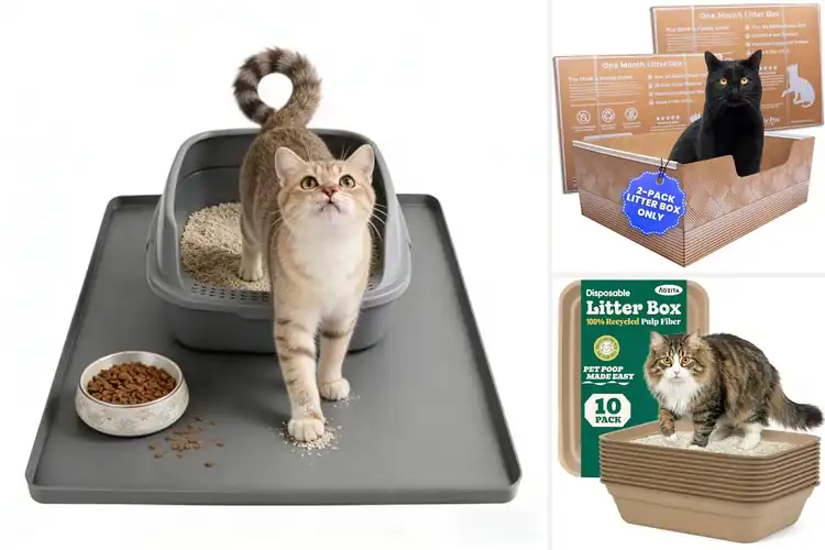 Detailed view of Best Leak Proof Litter Trays: 10 Picks for Clean Floors
