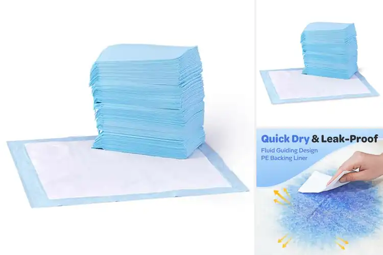 Detailed view of Best Leak-Proof Training Pads