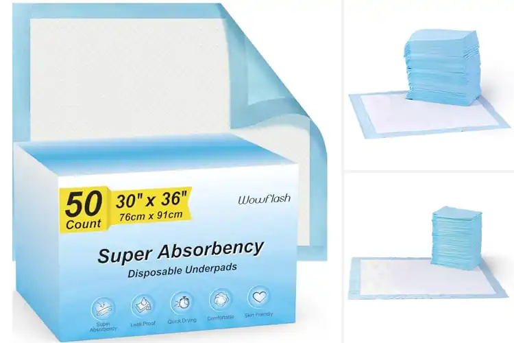 Detailed view of Best Leakproof Pads