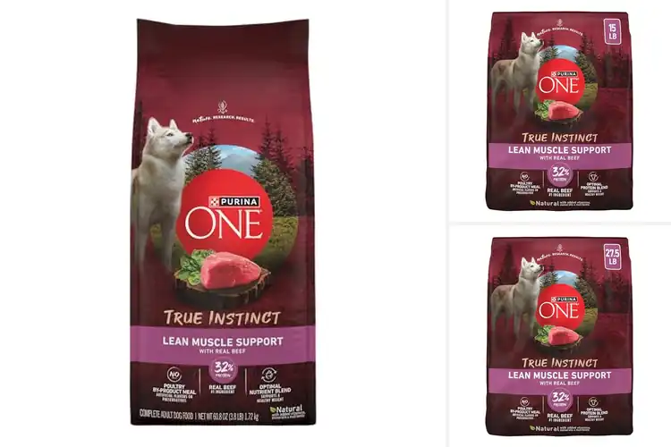 Detailed view of Best Lean Muscle Dog Foods