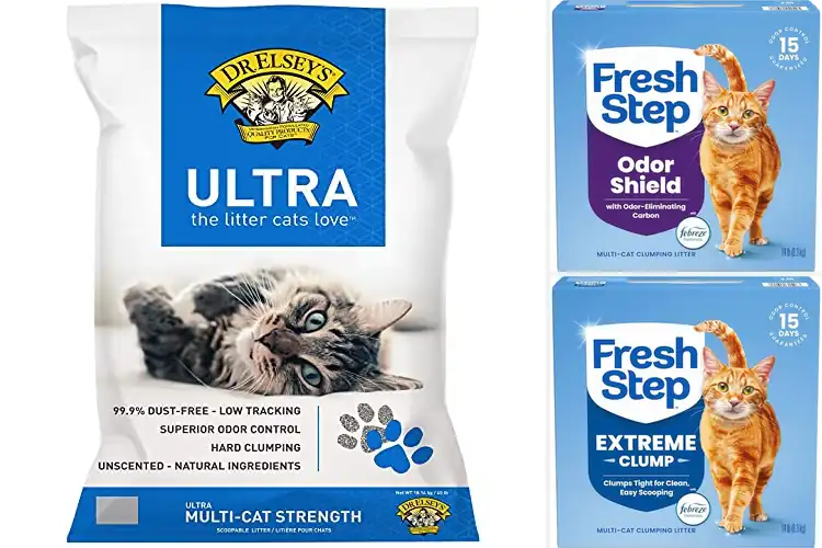 Detailed view of Best Liquid Absorption Clumping Cat Litter