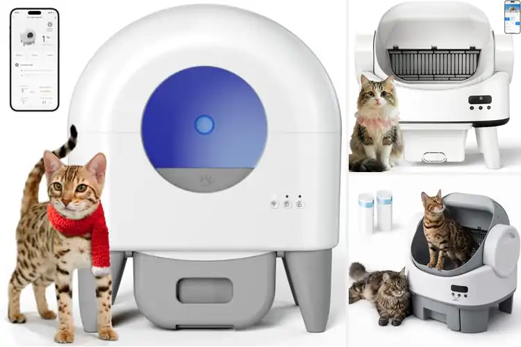 Detailed view of Best Litters For Automatic Boxes