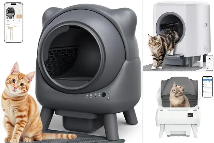 Detailed view of Best Litters For Automatic Litter Boxes