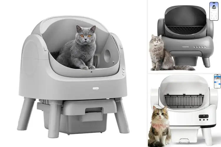 Detailed view of Best Litters For Multi Cat Homes