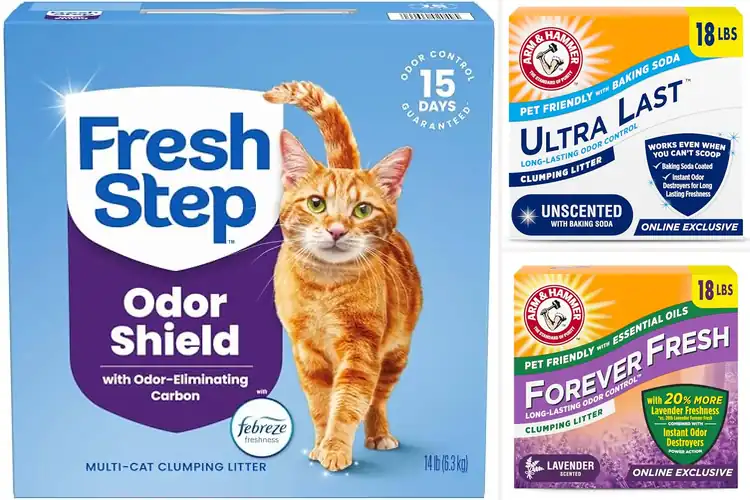 Detailed view of Best Long Lasting Odor Control Litter