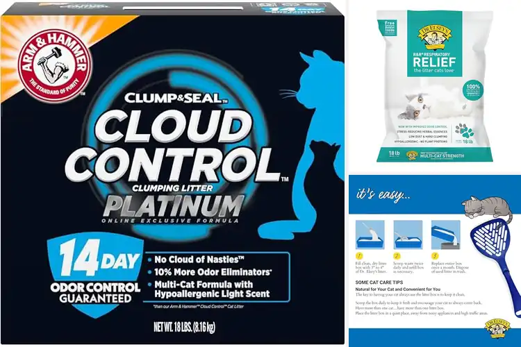 Detailed view of Best Low Dust Cat Litter For Allergies