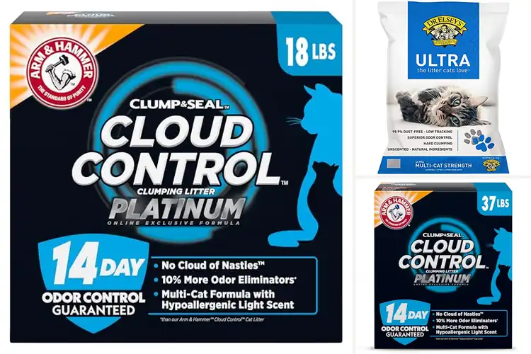 Detailed view of Best Low Dust Cat Litter