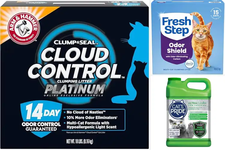 Detailed view of Best Low Dust Cat Litters: Keep Your Home Fresh & Cats Happy