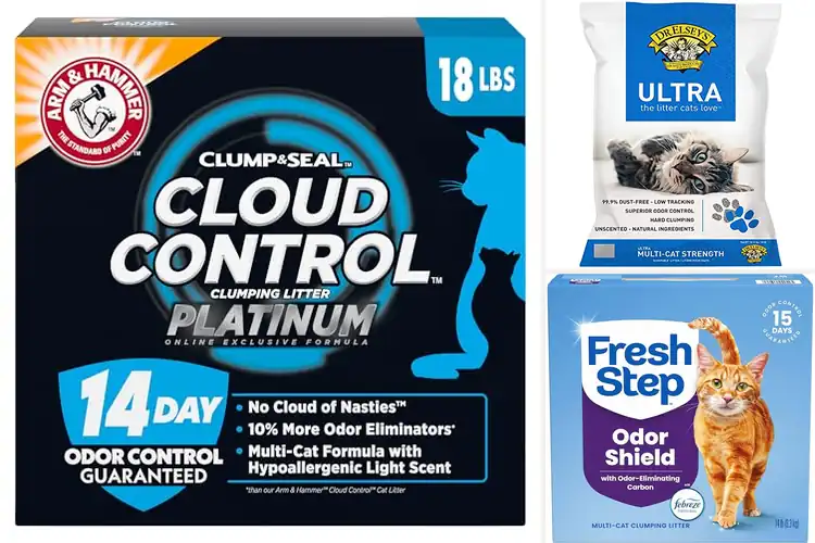 Detailed view of Best Low Dust Litter: Top Picks for a Cleaner Home
