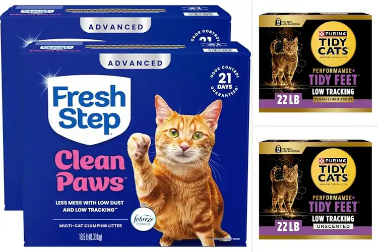 Detailed view of Best Low Tracking Cat Litter For Clean Floors