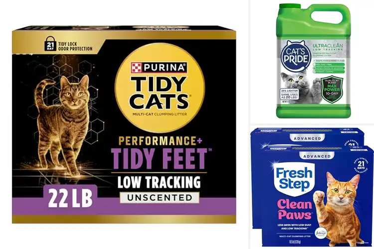 Detailed view of Best Low Tracking Cat Litters for a Cleaner, Mess-Free Home