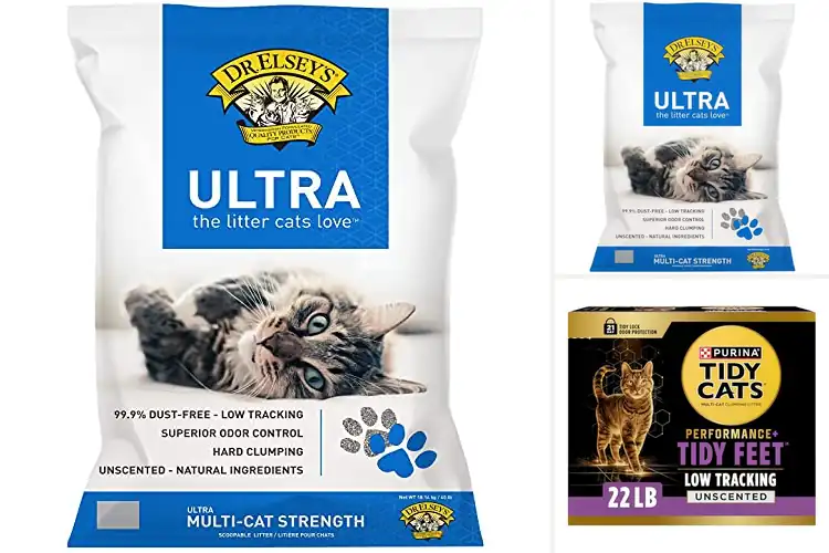 Detailed view of Best Low Tracking Clay Litter