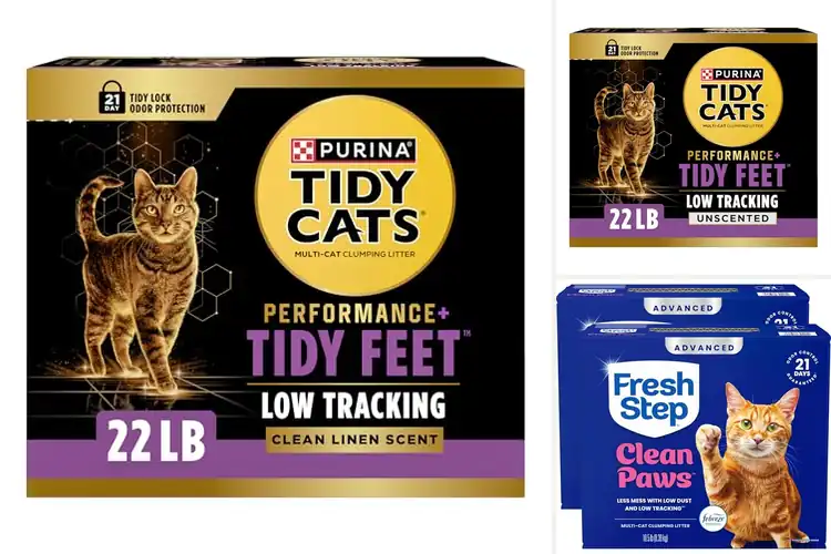 Detailed view of Best Low Tracking Cat Litter: Cleaner Home, Happier You