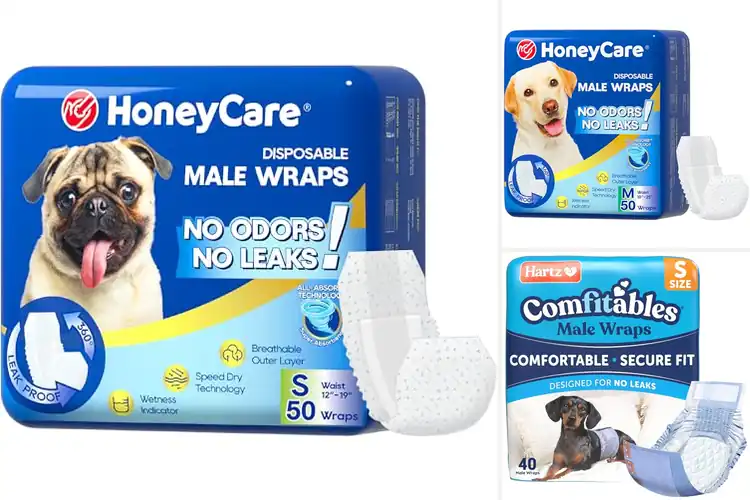 Detailed view of Best Male Dog Diapers for Clean, Happy Pups