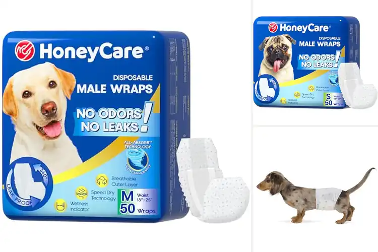 Detailed view of Best Male Dog Wraps: Top 10 Picks for Comfort & Dryness