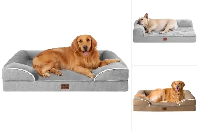 Detailed view of Best Memory Foam Dog Beds for Ultimate Comfort & Support