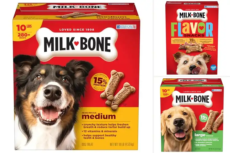 Detailed view of Best Milk-Bone Dog Treats Since 1908