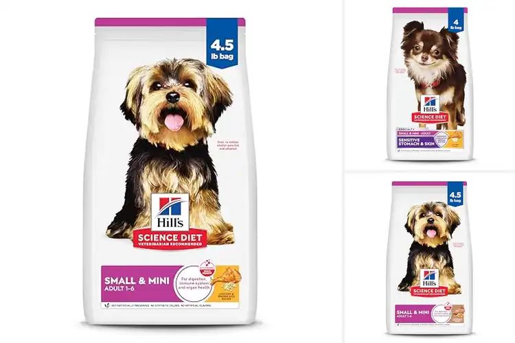Detailed view of Best Mini Breed Dog Foods: Top Picks for Tiny Tummies