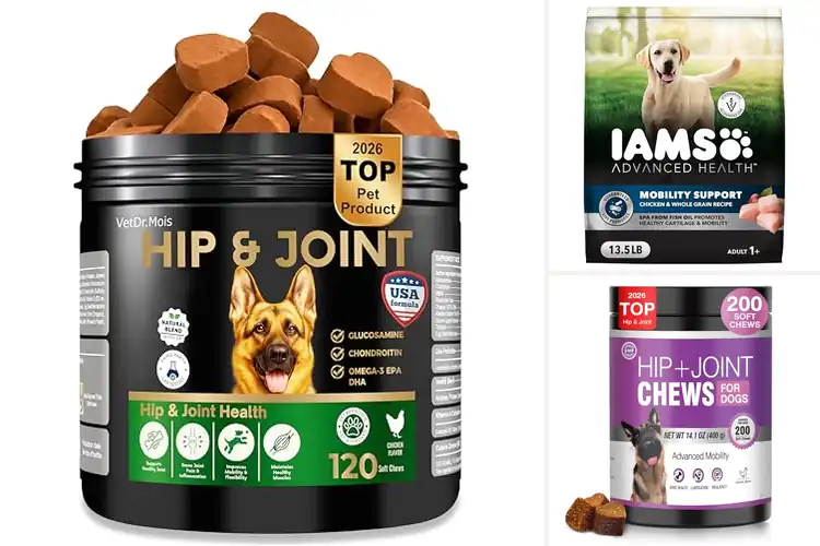 Detailed view of Best Mobility For Aging Dogs