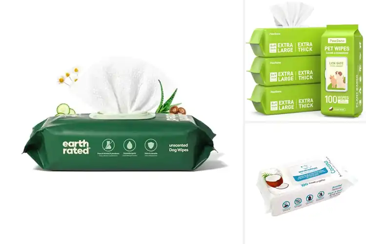 Detailed view of Best Moisture Balanced Wipes For Pets