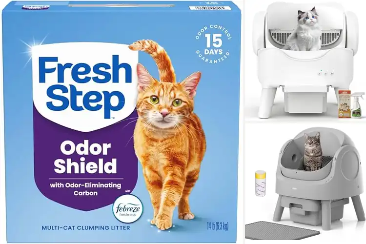 Detailed view of Best Multi Cat Litter For Homes