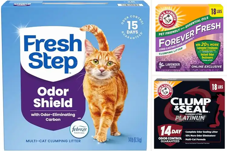 Detailed view of Best Multi-Cat Litter For Odor Control