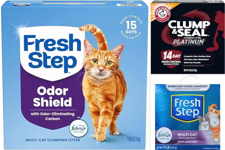 Detailed view of Best Multi Cat Litter For Odor Management