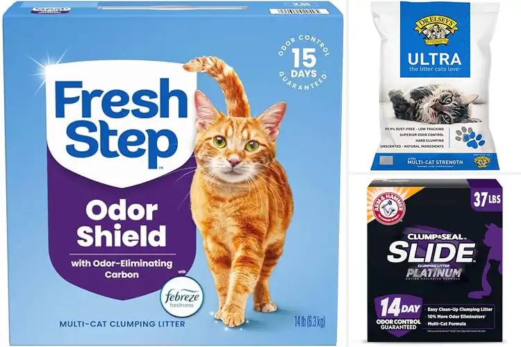 Detailed view of Best Multi-Cat Litter: Top Picks for Fresh, Clean Homes