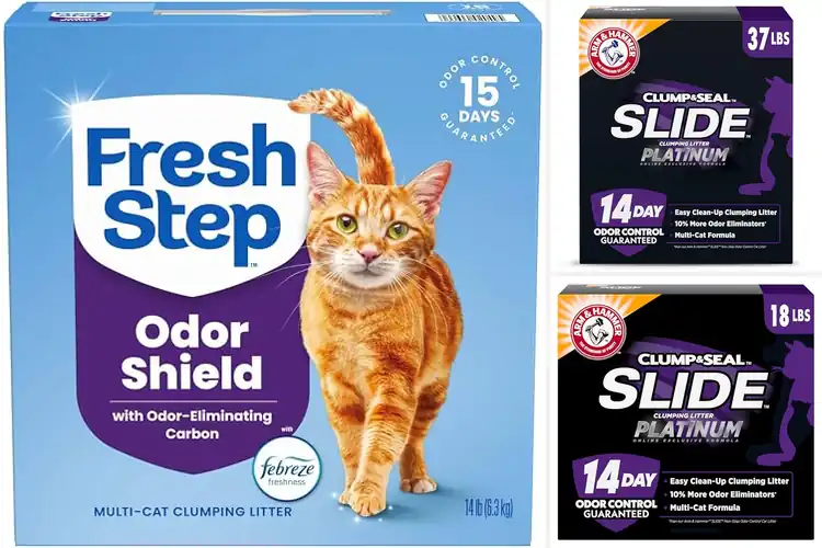 Detailed view of Best Multi-Cat Litters