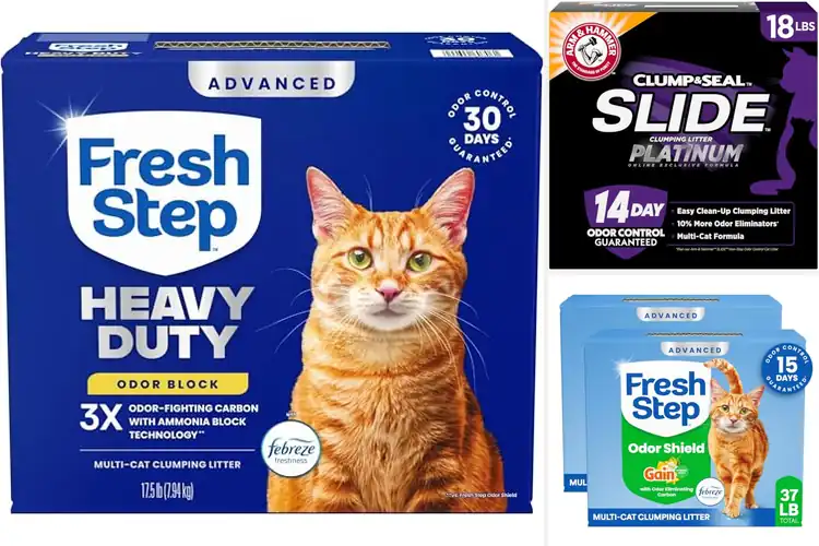 Detailed view of Best Multi-Cat Odor Control Litters
