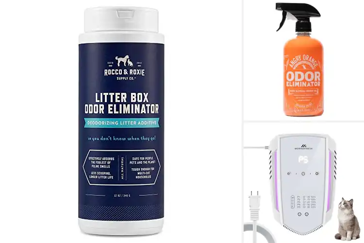 Detailed view of Best Multi-Cat Odor Eliminators for a Fresher Home