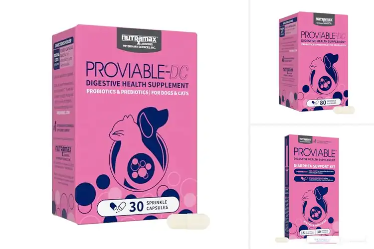 Detailed view of Best Multi-Strain Probiotics for Cats and Dogs