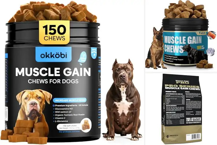 Detailed view of Best Muscle Building Dog Foods