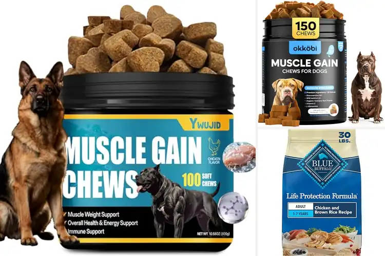 Detailed view of Best Muscle Development Dog Foods for Strong Growth