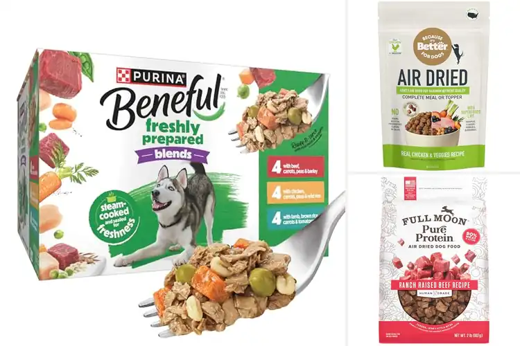 Detailed view of Best Muscle Ready Dog Food