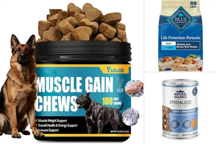 Detailed view of Best Muscle Support Dog Foods
