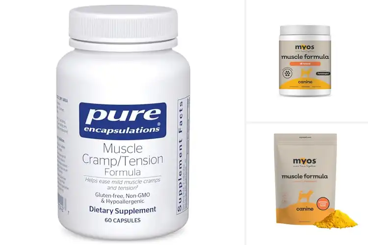 Detailed view of Best Muscle Support Formula