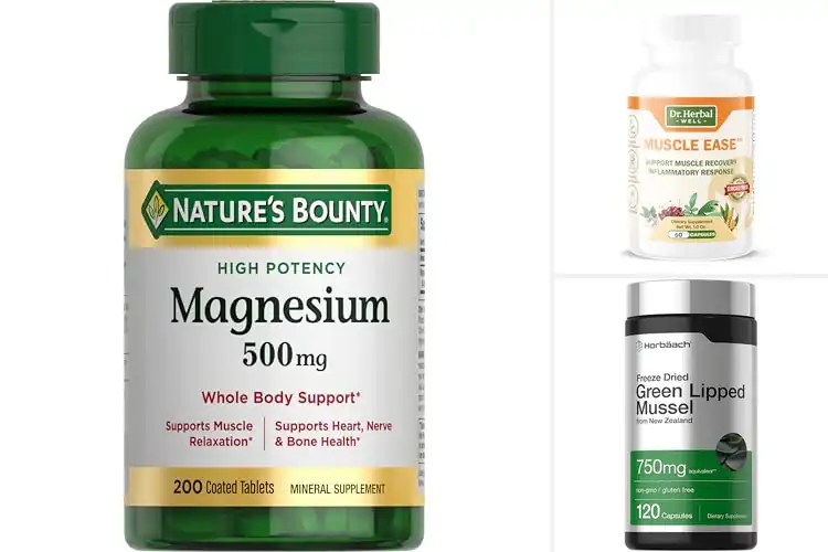 Detailed view of Best Muscle Support