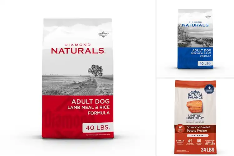 Detailed view of Best Natural Adult Dog Foods