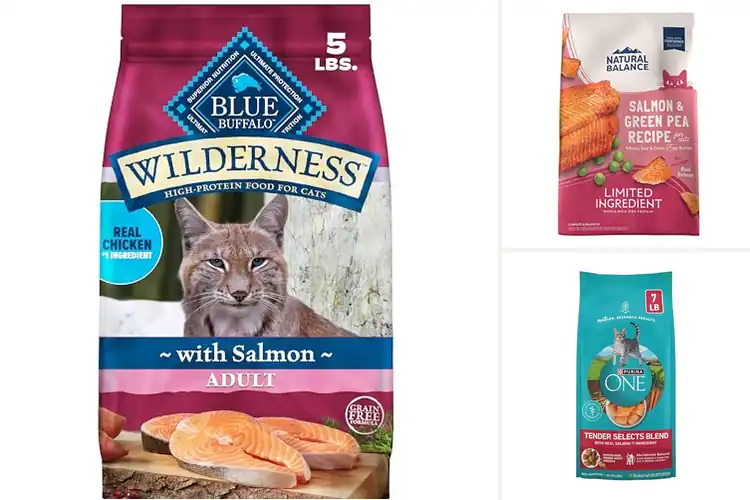Detailed view of Best Natural Cat Foods With Salmon