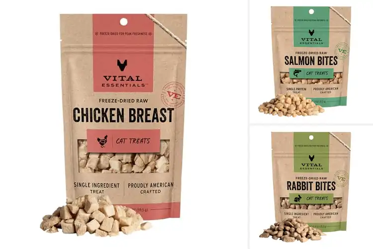 Detailed view of Best Natural Cat Treats: Healthy, Happy Cats Love These