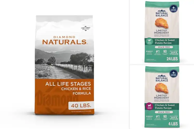 Detailed view of Best Natural Chicken Based Dog Food
