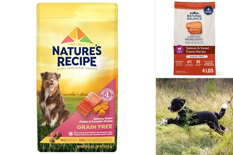 Detailed view of Best Natural Dog Food With No Grain