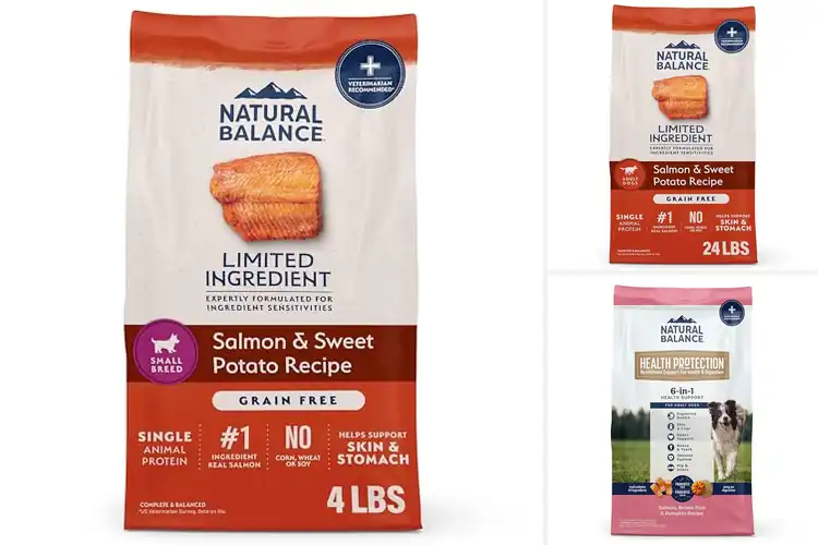 Detailed view of Best Natural Dog Foods Without By-Products