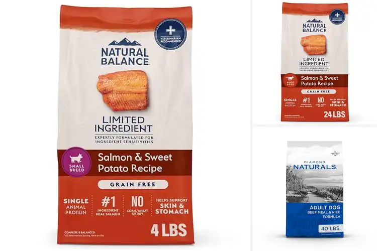 Detailed view of Best Natural Dry Dog Foods