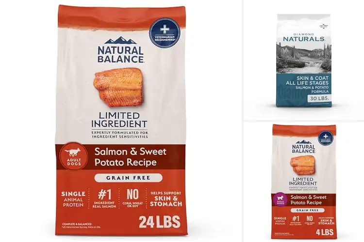 Detailed view of Best Natural Ingredients For Dog Food