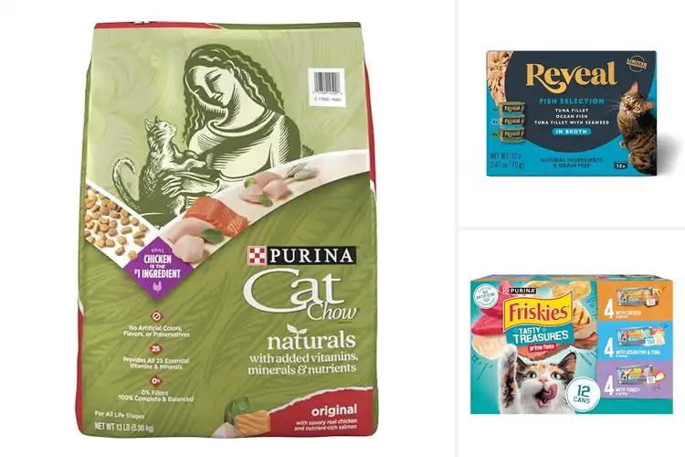 Detailed view of Best No Artificial Colors Preservatives Cat Food