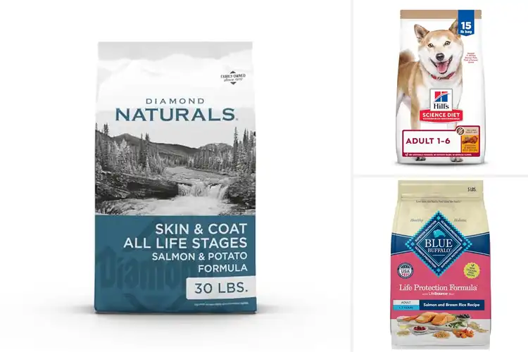 Detailed view of Best No Corn Wheat Or Soy Dog Food
